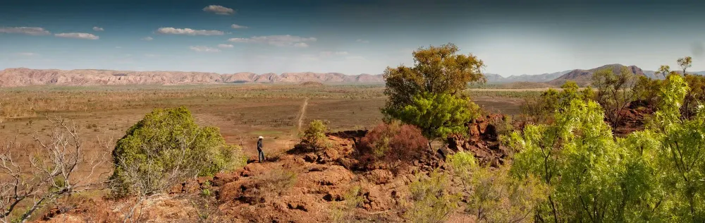 Australian and New Zealand Shows